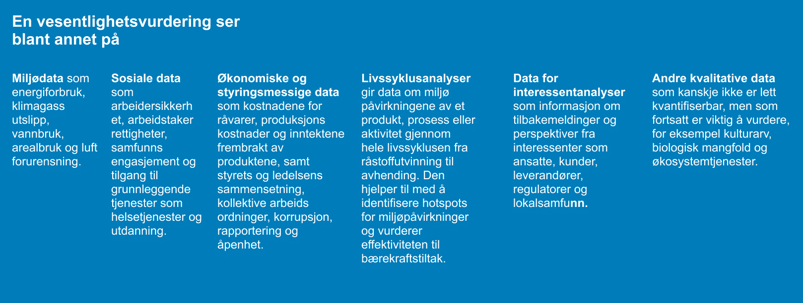 En illstrasjon over hva en vesentlighetsvurdering ser på (blant annet). Hvit tekst på blå bakgrunn.